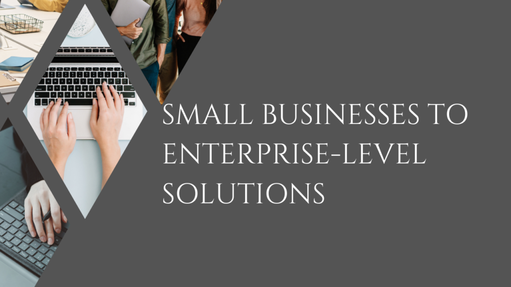 Small Businesses to Enterprise-Level Solutions