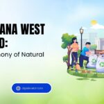 Montana West World: A Symphony of Natural Beauty