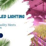 SANSI LED Lighting Inc.: Where Quality Meets Innovation
