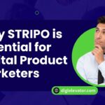 Why STRIPO is Essential for Digital Product Marketers