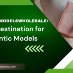 DiecastModelsWholesale: Your Destination for Authentic Models