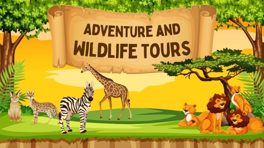 Go2Africa (US)