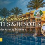 Why Senator Hotels & Resorts Are Popular Among Travelers