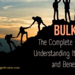 Bulk IE: The Complete Guide to Understanding Its Features and Benefits