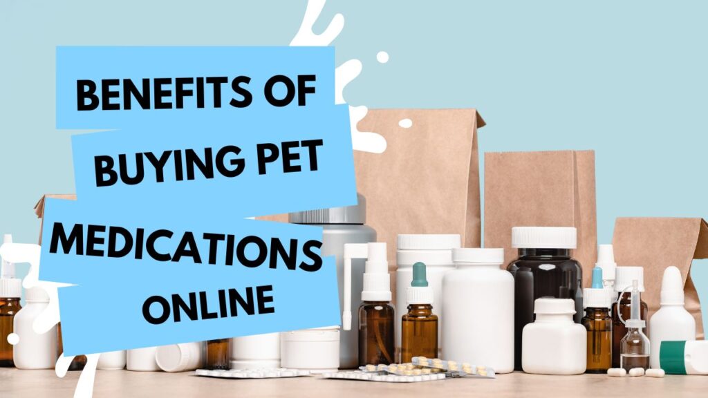Pet
