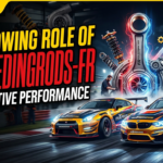 The Growing Role of Maxpeedingrods-FR in the Automotive Performance Industry